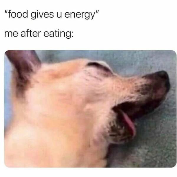 These Memes Are Very Relatable… And Very Sarcastic