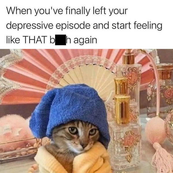 These Memes Are Very Relatable… And Very Sarcastic