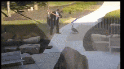 Men Share Their Manliest Acts Ever