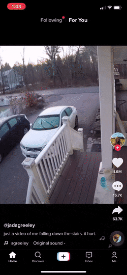 Morning Gifdump