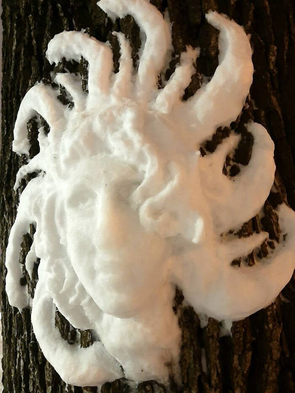 Artist Creates Beautiful Snow Art On Trees