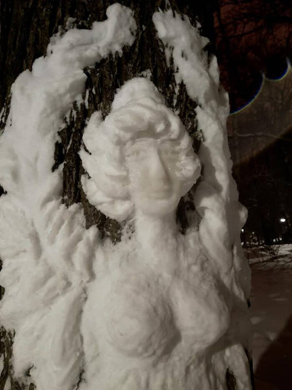 Artist Creates Beautiful Snow Art On Trees