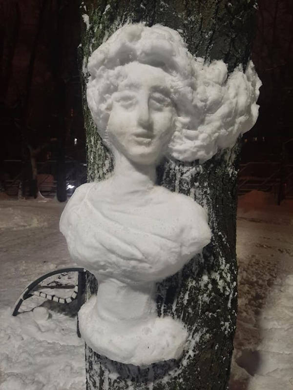 Artist Creates Beautiful Snow Art On Trees