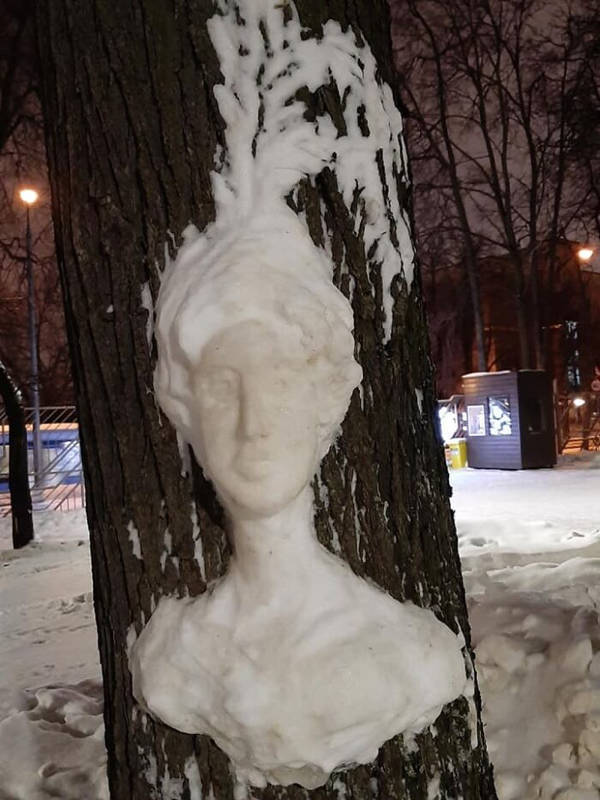 Artist Creates Beautiful Snow Art On Trees