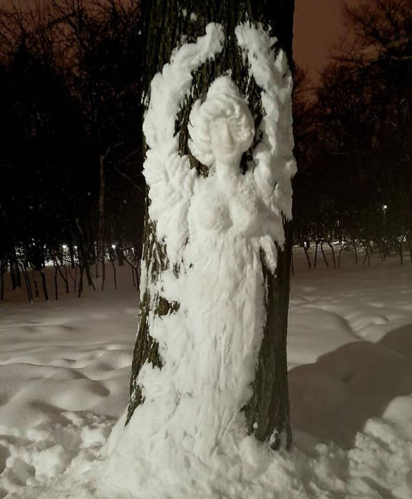 Artist Creates Beautiful Snow Art On Trees