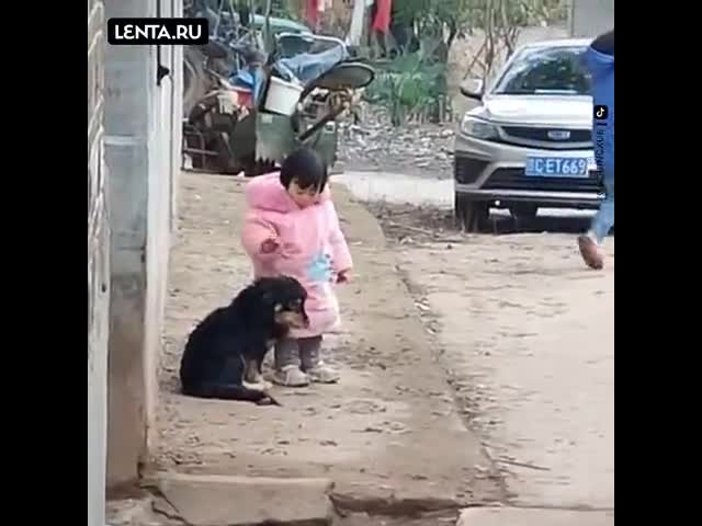 Little Girl Saves A Dog From Fireworks