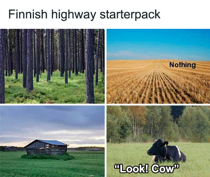 Just Finland Things…