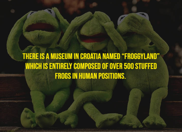 Entertain Yourself With Some Random Facts!