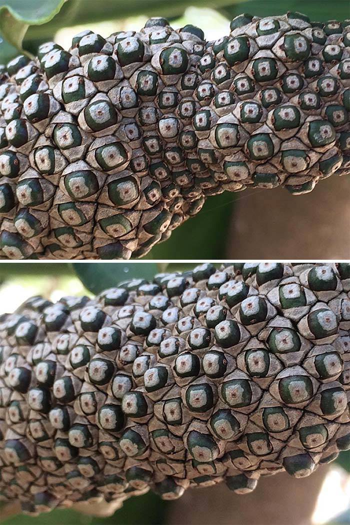 Nature Can Be So Satisfying!