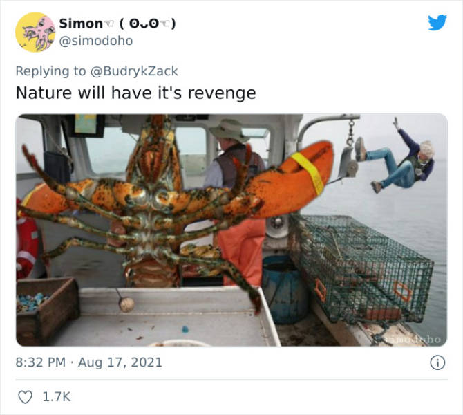 101-Year-Old Woman Throws A Lobster Away Because It’s Too Small, Starts A Meme Battle