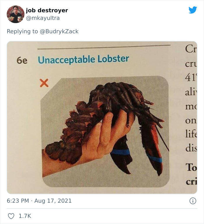 101-Year-Old Woman Throws A Lobster Away Because It’s Too Small, Starts A Meme Battle