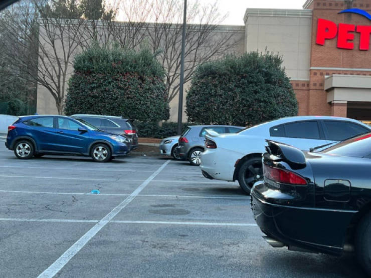 That’s Not How You Park!