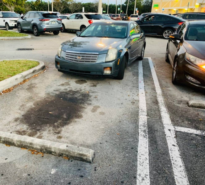 That’s Not How You Park!