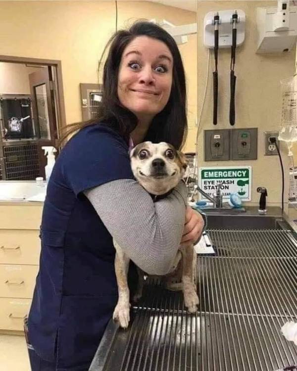 Pets Getting High At The Vet
