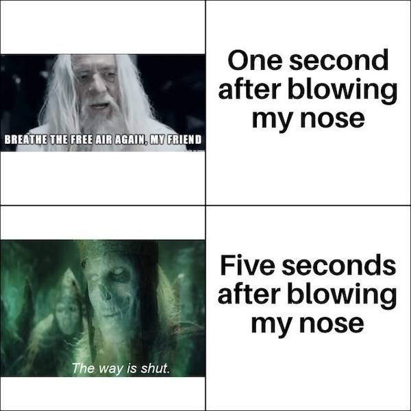 Just Some Random “Lord Of The Rings” Memes!