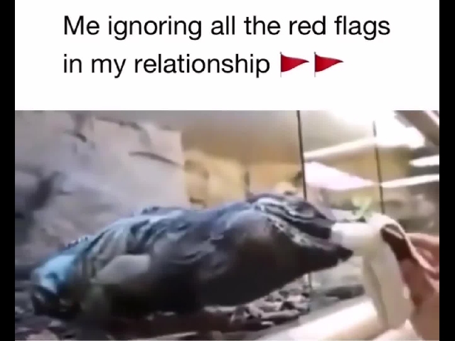 Red Flags? Who Cares!