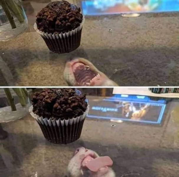 Daily Picdump