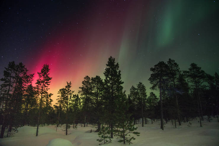 What A Beautiful World!