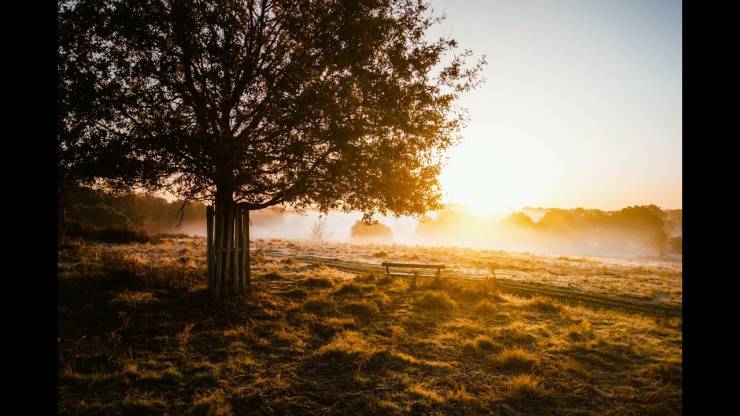 What A Beautiful World!