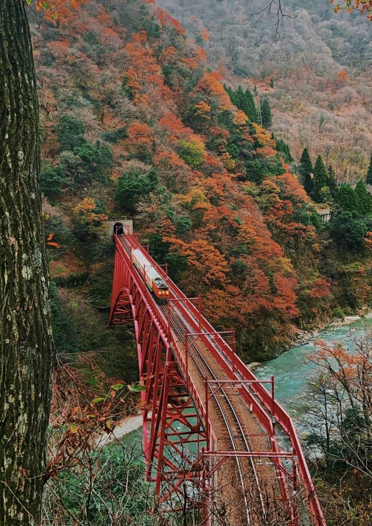 What A Beautiful World!