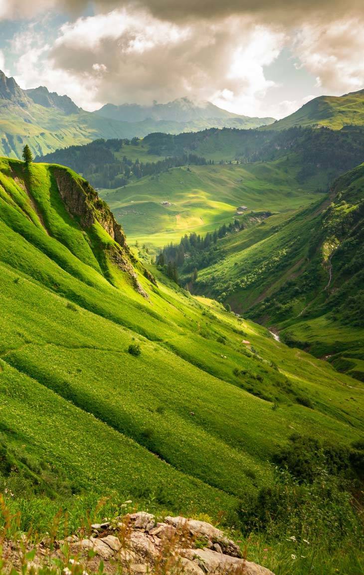 What A Beautiful World!