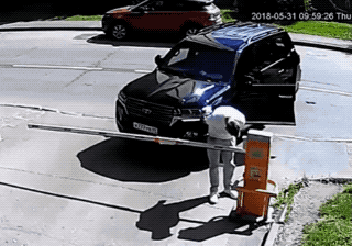 Morning Gifdump