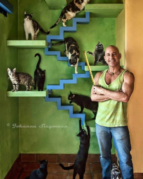 Man Creates A Perfect Cat House