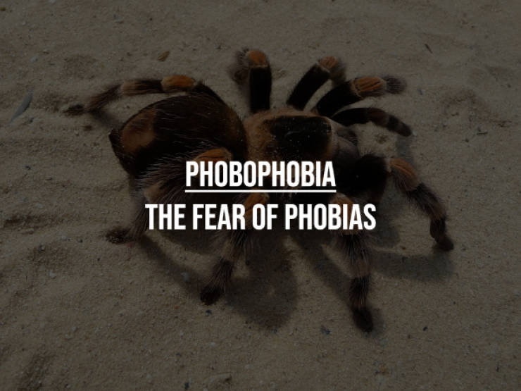 These Phobias Are So Weird…