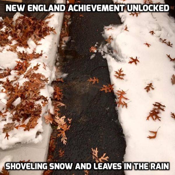 New England Memes Only!