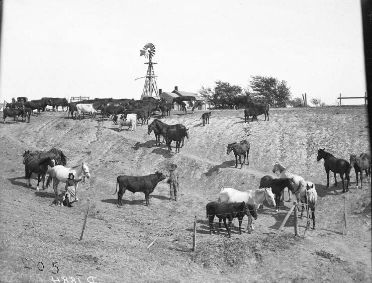 Great Plains Settlers, By Solomon Butcher