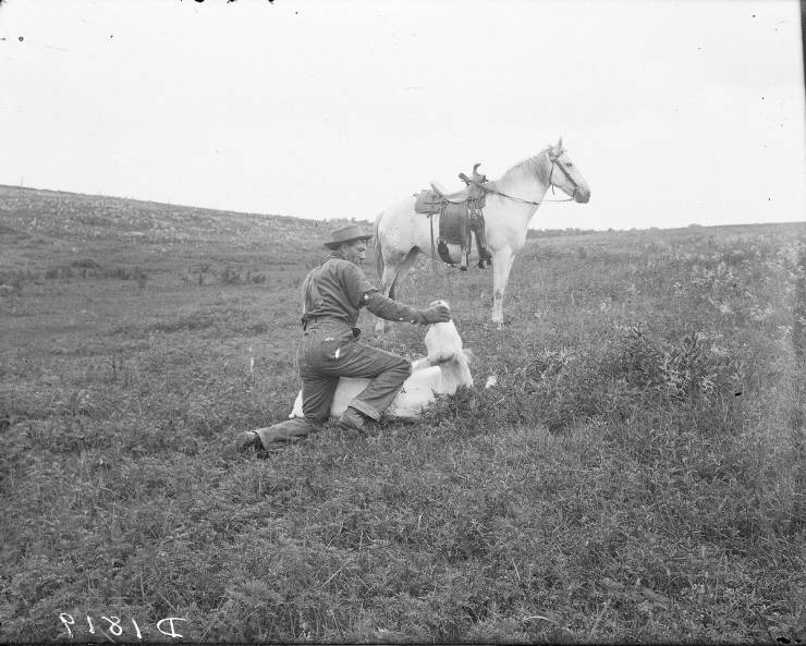 Great Plains Settlers, By Solomon Butcher