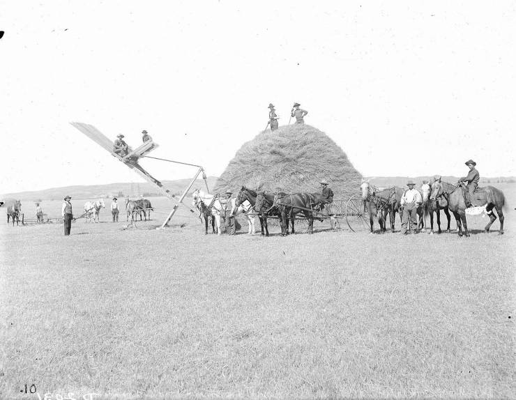 Great Plains Settlers, By Solomon Butcher