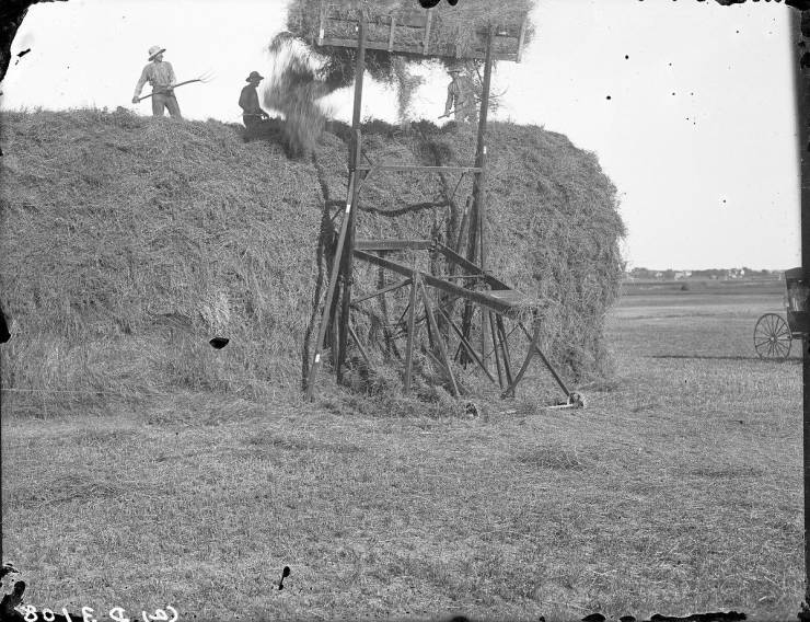 Great Plains Settlers, By Solomon Butcher