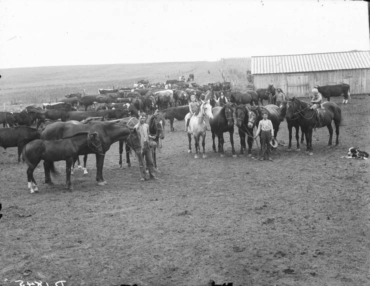 Great Plains Settlers, By Solomon Butcher