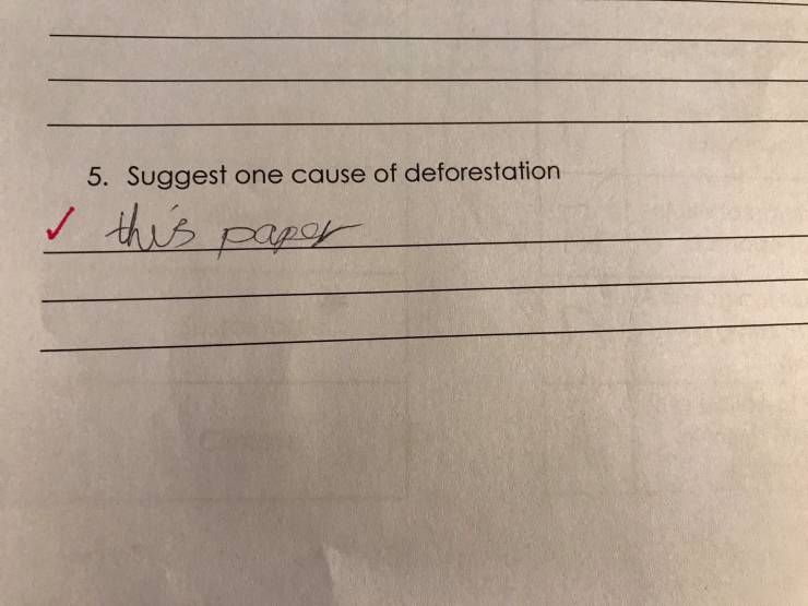 Overly Creative Test Answers