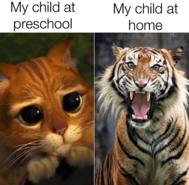 Parents Know These Memes All Too Well…