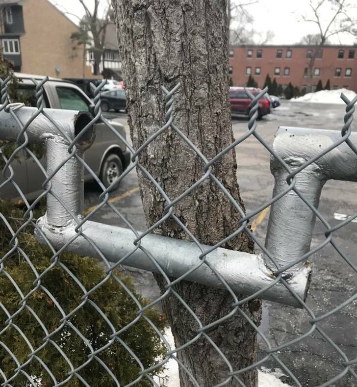 These Designers Should Be Praised For Their Efforts!