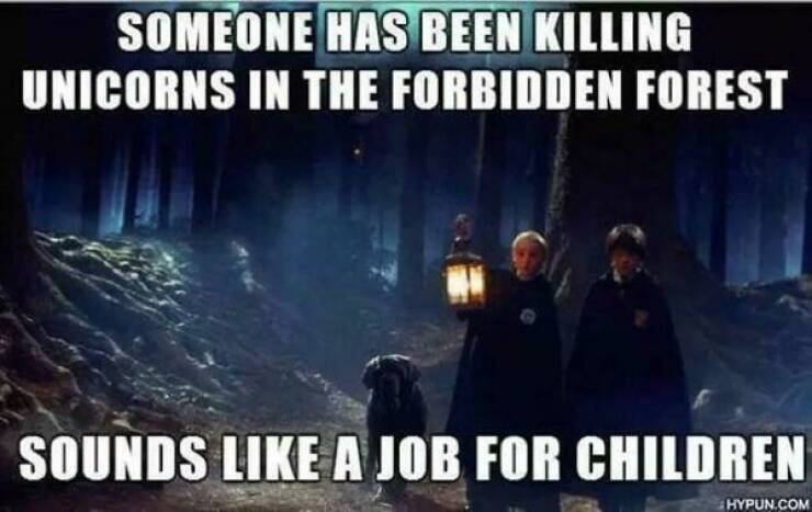 These “Harry Potter” Memes Are Muggle-Proof!