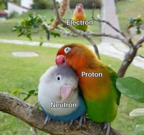 Only Nerds Will Understand These Science Memes!