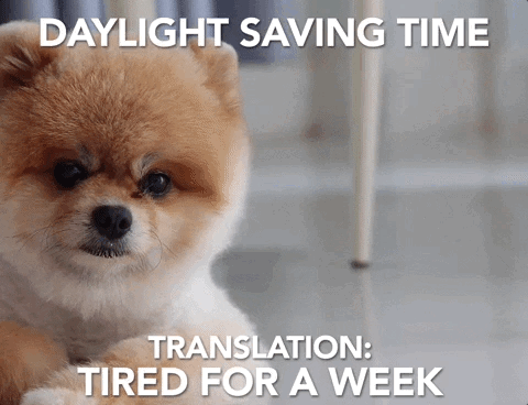 Save These Daylight Saving Time Memes