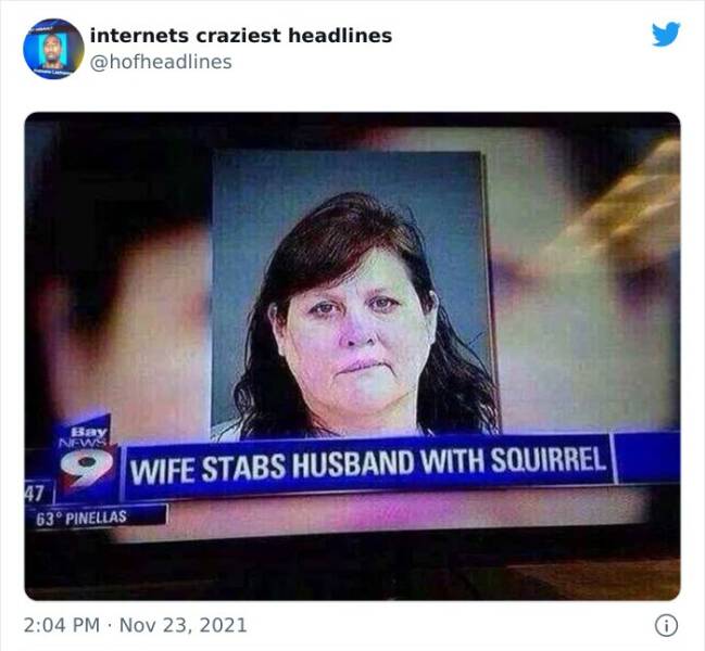 Internet Has Some Crazy Headlines…