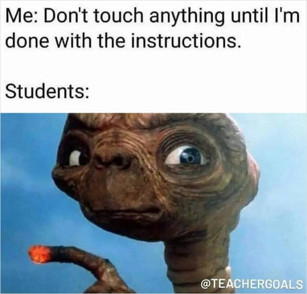 Teachers, You Don’t Have To Grade These Memes