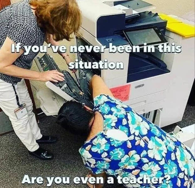 Teachers, You Don’t Have To Grade These Memes