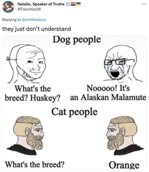 Have A Cat Or A Dog? You Will Understand
