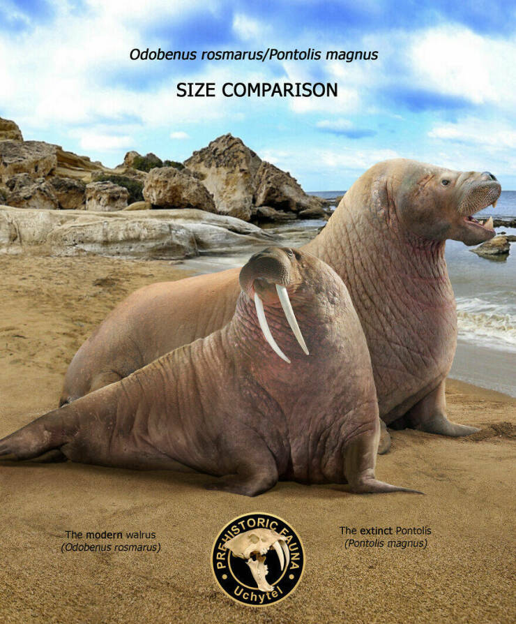 Comparing Modern Animals To Their Prehistoric Ancestors