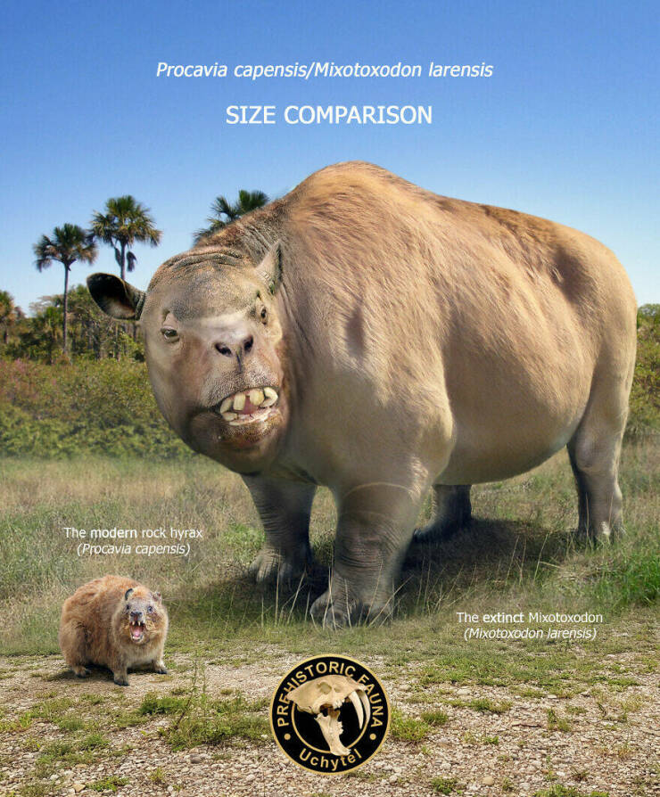 Comparing Modern Animals To Their Prehistoric Ancestors