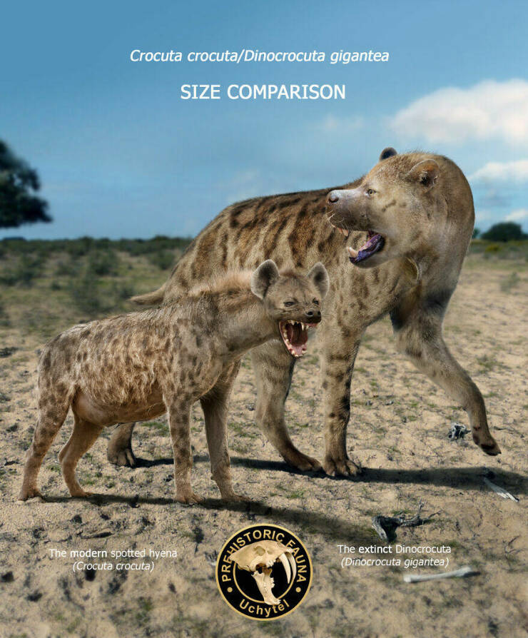 Comparing Modern Animals To Their Prehistoric Ancestors