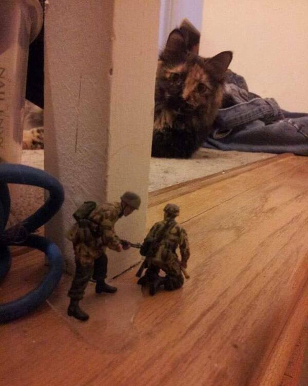 Army Men Around The House…