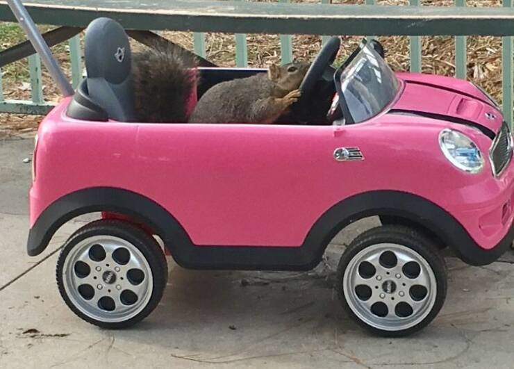 Daily Picdump