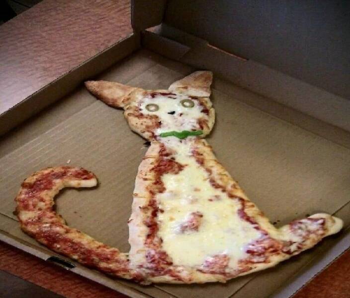 Daily Picdump